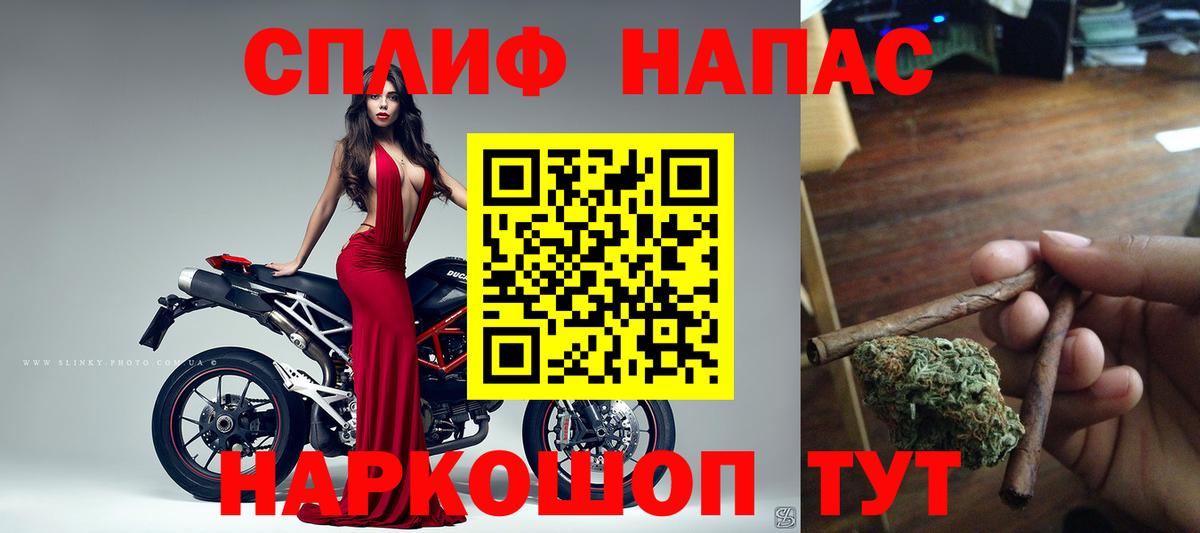 Каннабис конопля Россия